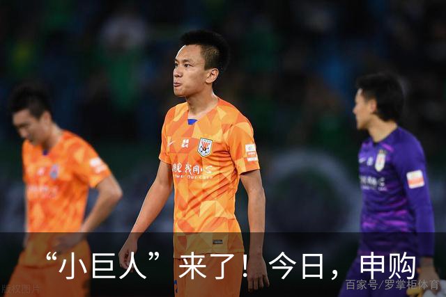 “小巨人”来了！今日，申购