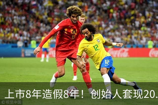 上市8年造假8年！创始人套现20.2亿后离场，国资24亿投资全亏光