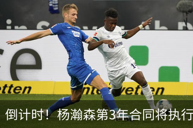 倒计时！杨瀚森第3年合同将执行？主帅亮明态度，难题才刚开始