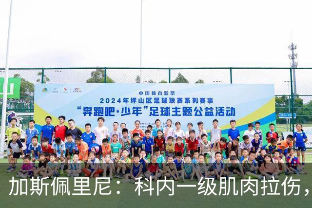 加斯佩里尼：科内一级肌肉拉伤，迪巴拉小腿腓肠肌的肌肉疲劳