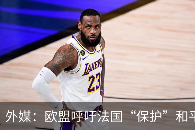 外媒：欧盟呼吁法国“保护”和平示威权利，并谴责暴力