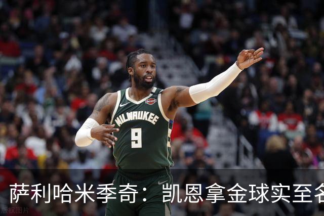 萨利哈米季奇：凯恩拿金球实至名归，盼他带欧冠回慕尼黑