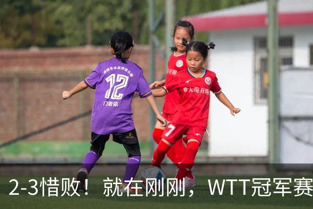 2-3惜败！就在刚刚，WTT冠军赛爆大冷：世界第39老将被打哭！30岁梁靖崑绝处逢生让二追三，赛后日媒犀利锐评，难怪张本智和会输