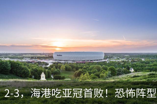 2-3，海港吃亚冠首败！恐怖阵型不灵了：2次点球不进，武磊丢单刀