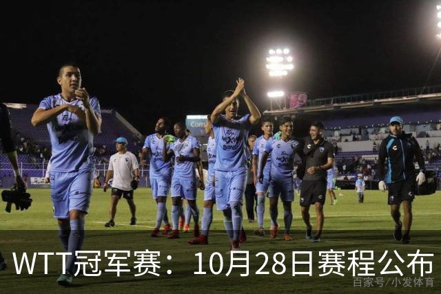 WTT冠军赛：10月28日赛程公布！国乒5大主力首秀，王曼昱等人登场